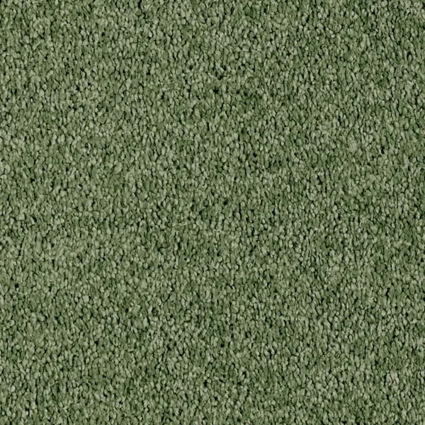 Vorwerk Luana Teppichboden grün – rechteckige Draufsicht